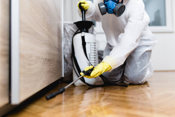 Best Pest Control for Restaurants  in Salineville, OH