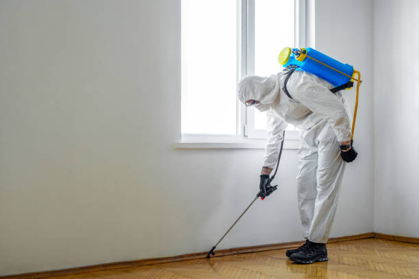 Pest Control Cost in Salineville, OH