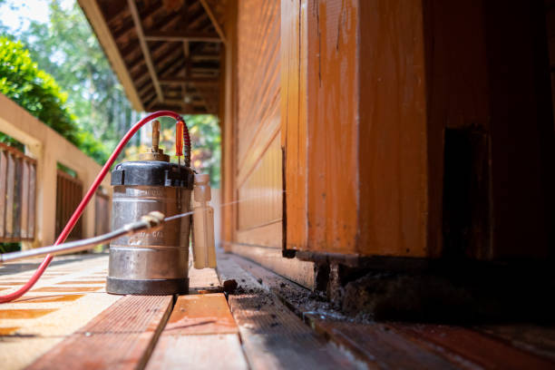 Best Pest Control Cost  in Salineville, OH