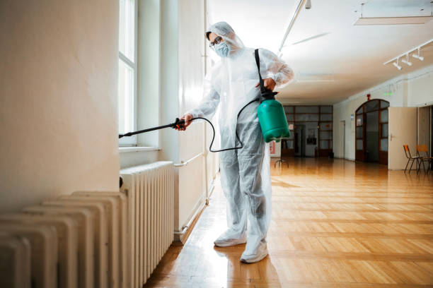 Best Rat Extermination Near Me  in Salineville, OH