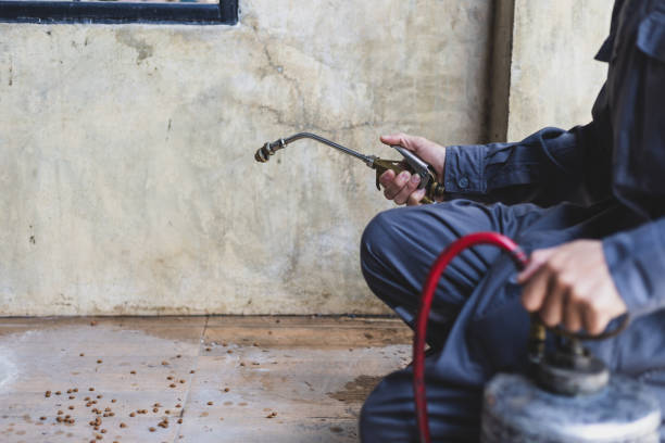 Best Residential Pest Control  in Salineville, OH