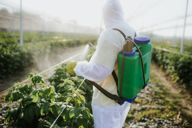 Professional Pest Control in Salineville, OH
